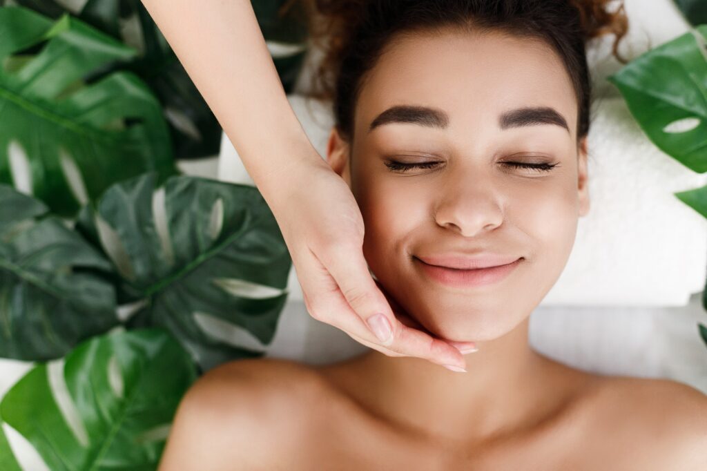 Ayurvedic Facial Massage Hemadri Ayurveda